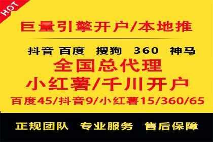 网络推广与竞价策略实战案例